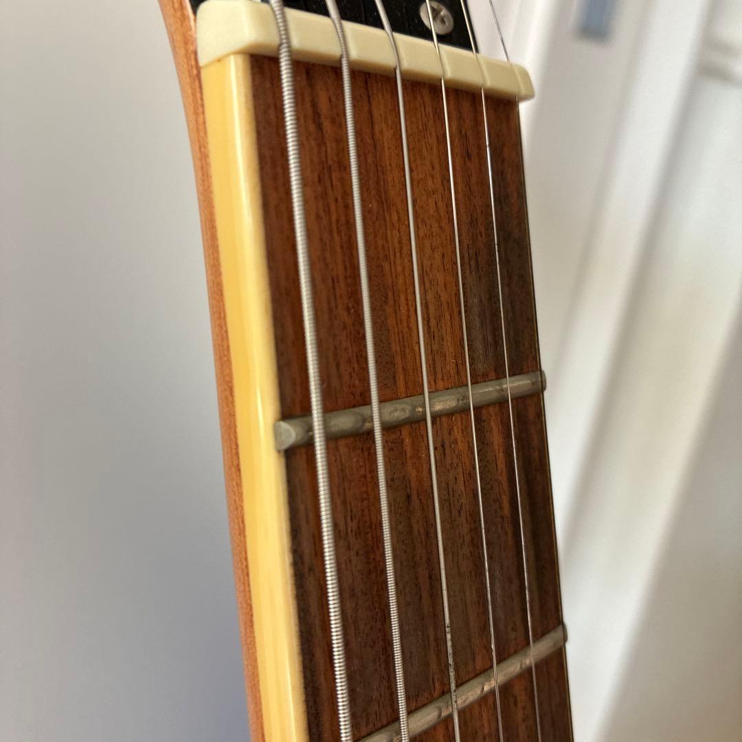 Epiphon Casino NA エピフォン カジノ ナチュラル