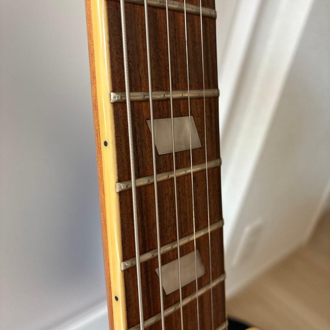 Epiphon Casino NA エピフォン カジノ ナチュラル