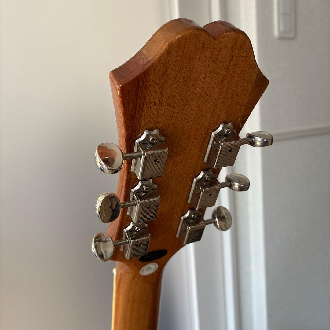 Epiphon Casino NA エピフォン カジノ ナチュラル