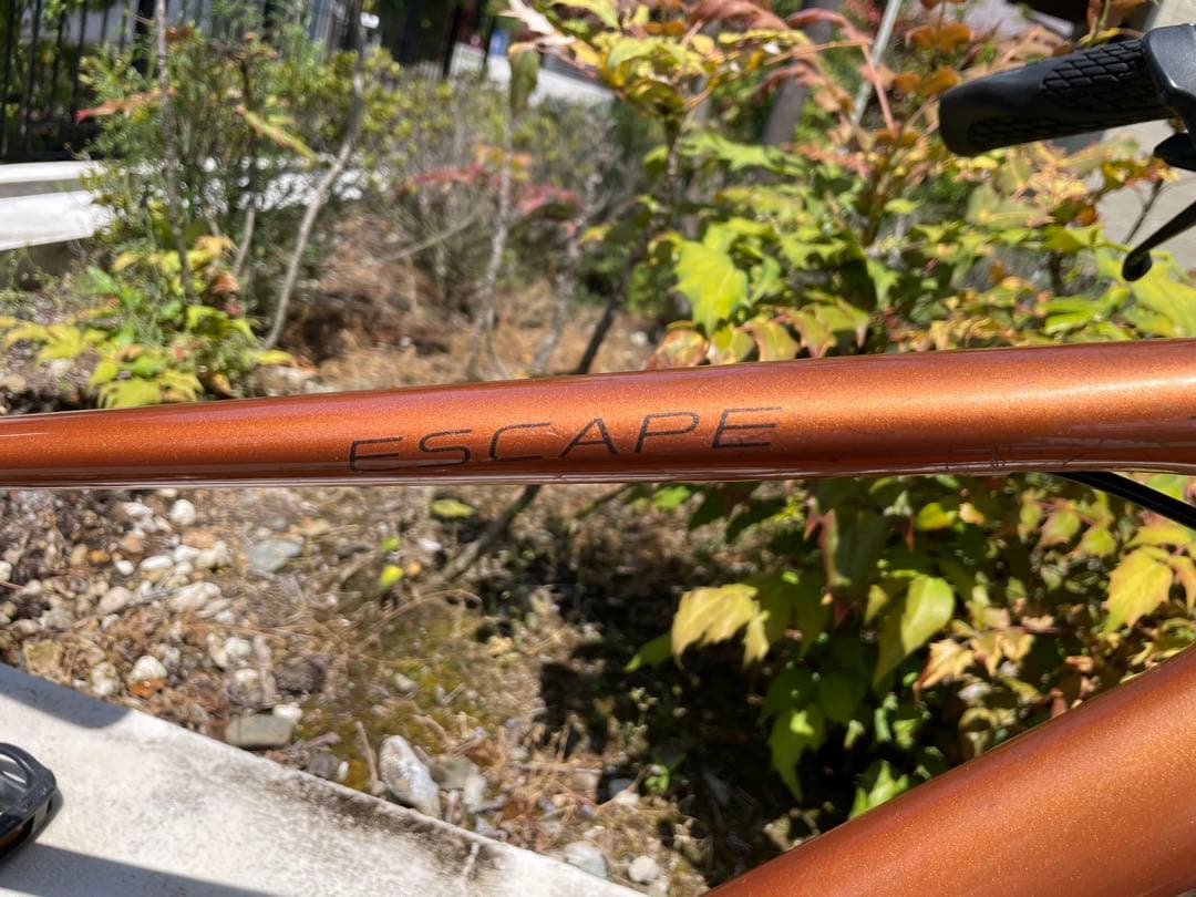 ジャイアント LIV ESCAPE R 3 W MS 400(XS)