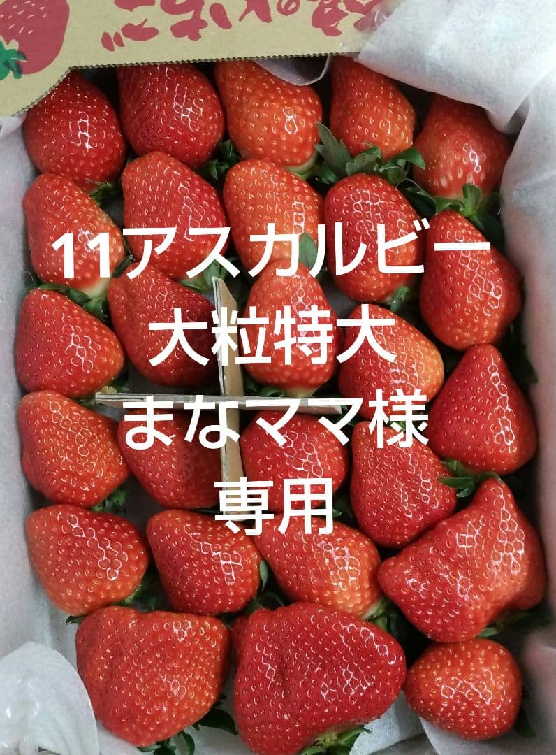 いちご11アスカルビー大粒特大奈良産