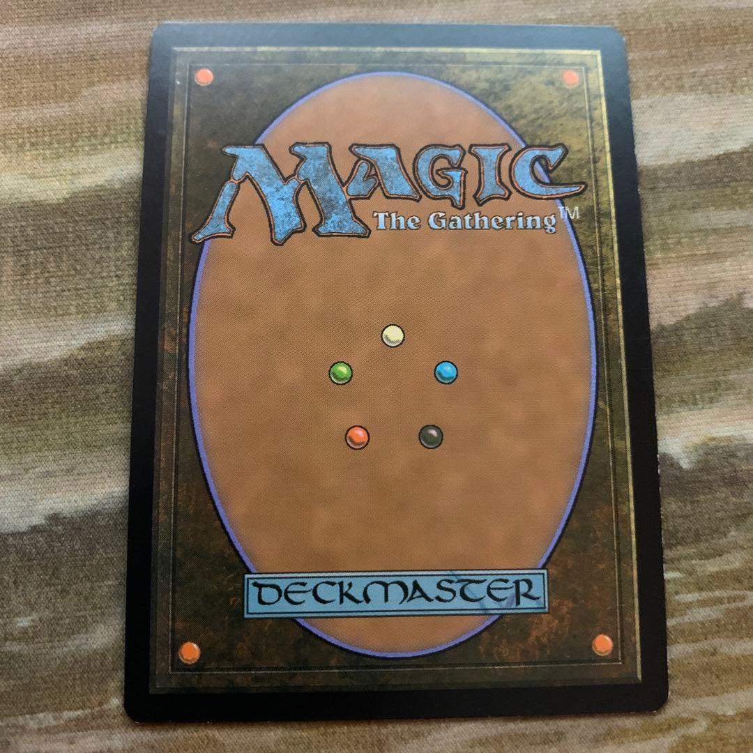 MTG 森の知恵 英語 foil EMA