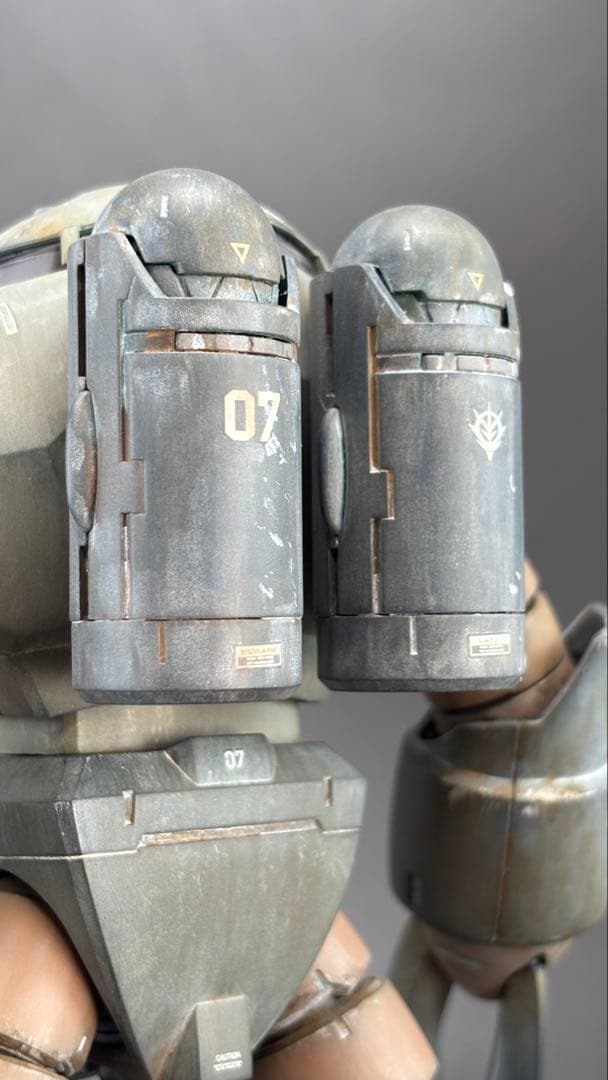 【塗装完成品】ＭＧ 1/100 ズゴック