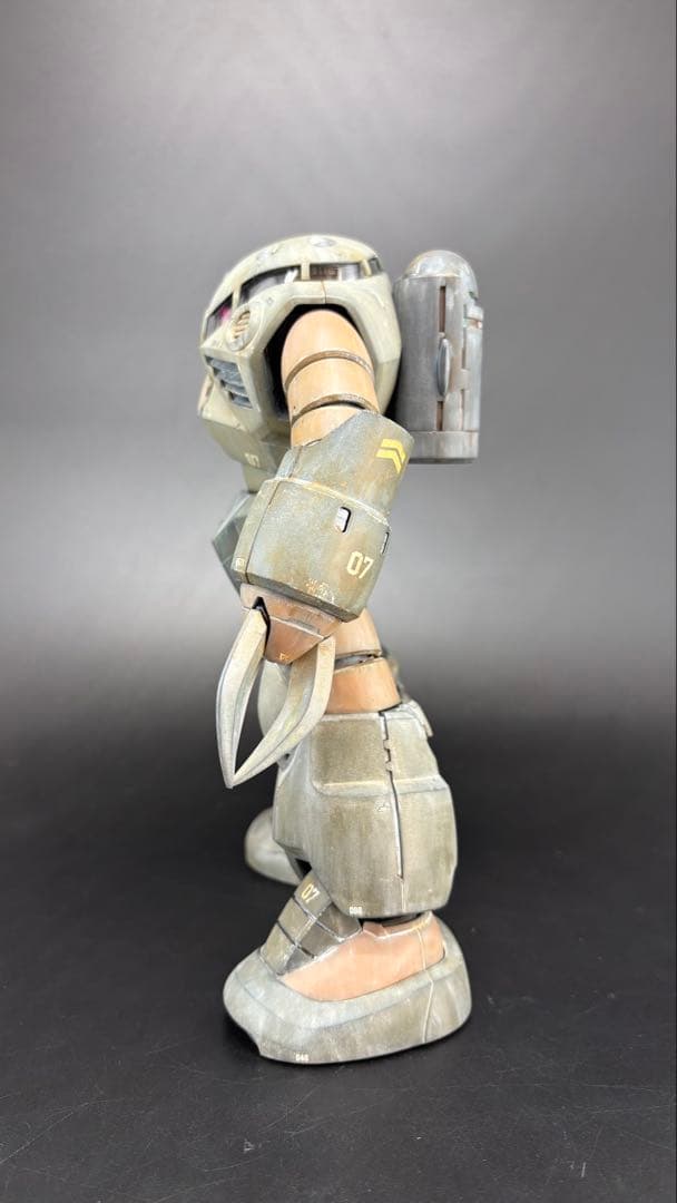 【塗装完成品】ＭＧ 1/100 ズゴック