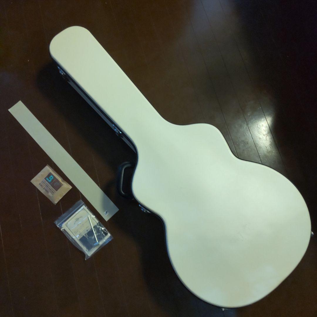 KING SNAKE Curtis H Deep Body フルアコ