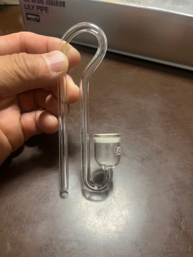 ADA アクアデザインアマノ　パレングラスミニ