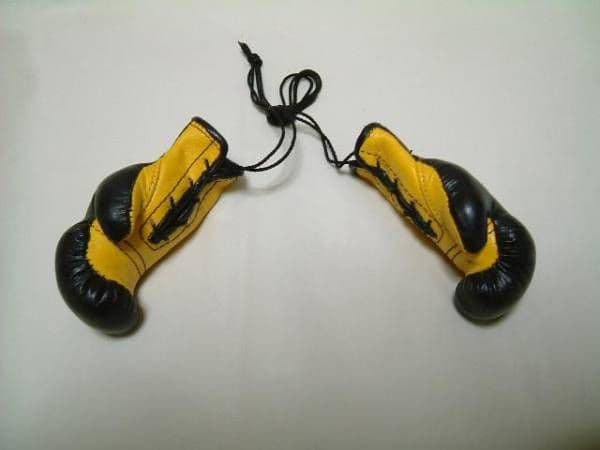 ボクシング ツインズ ミニグローブ マスコットグローブ