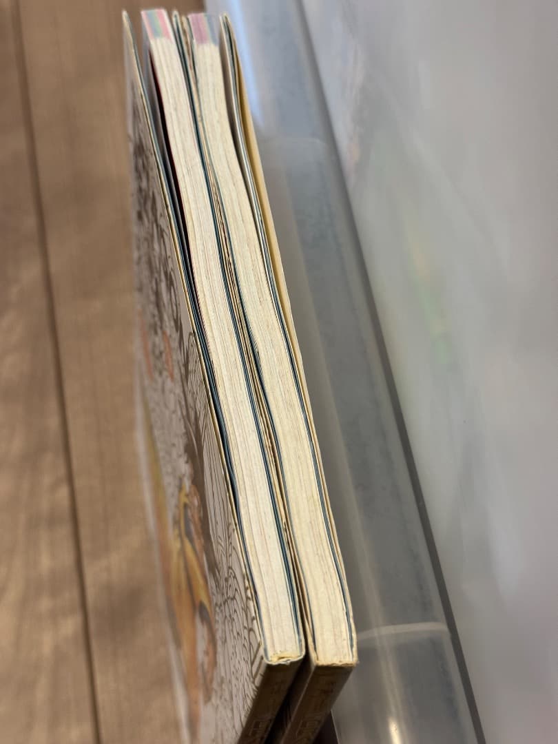 ドラゴンボール　大全集　カードダスパーフェクトファイル　２種