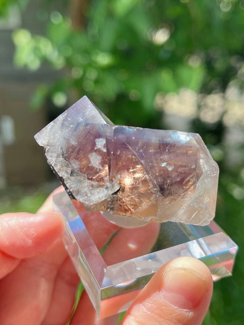 その他 sherry twins pocket