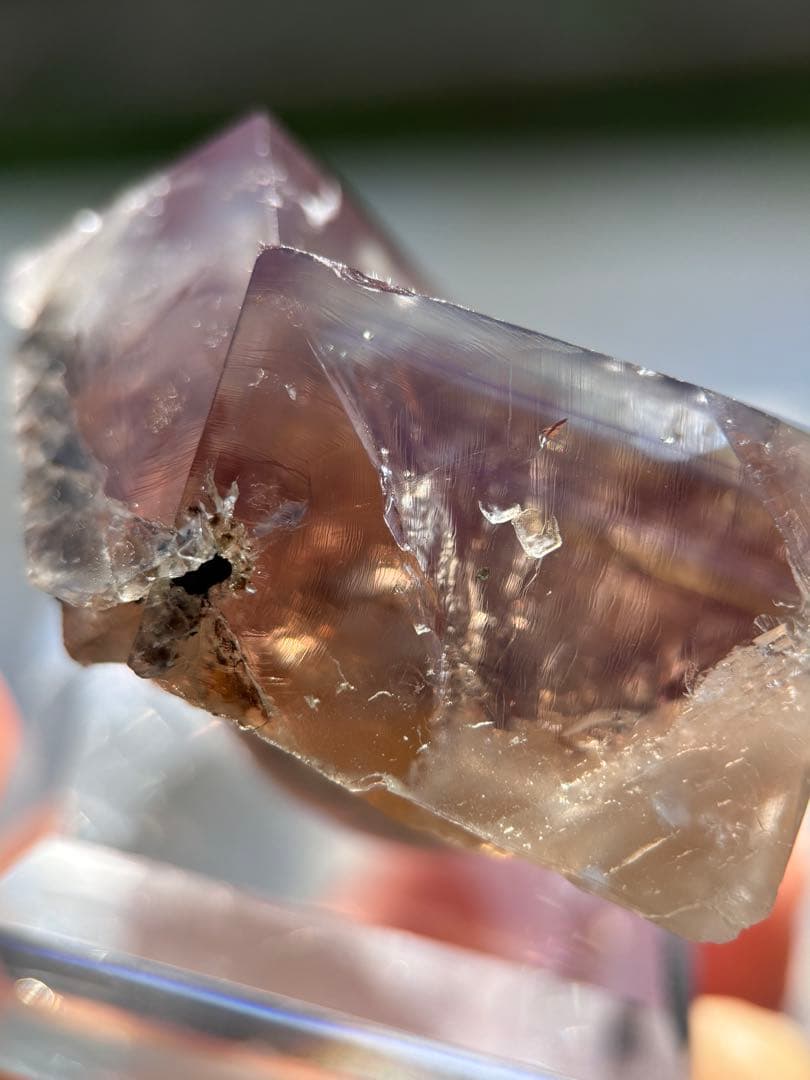 その他 sherry twins pocket