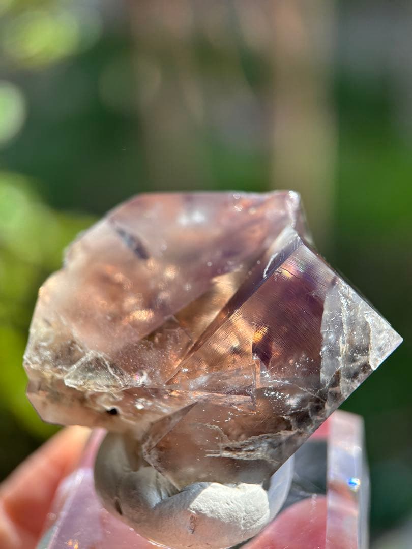 その他 sherry twins pocket