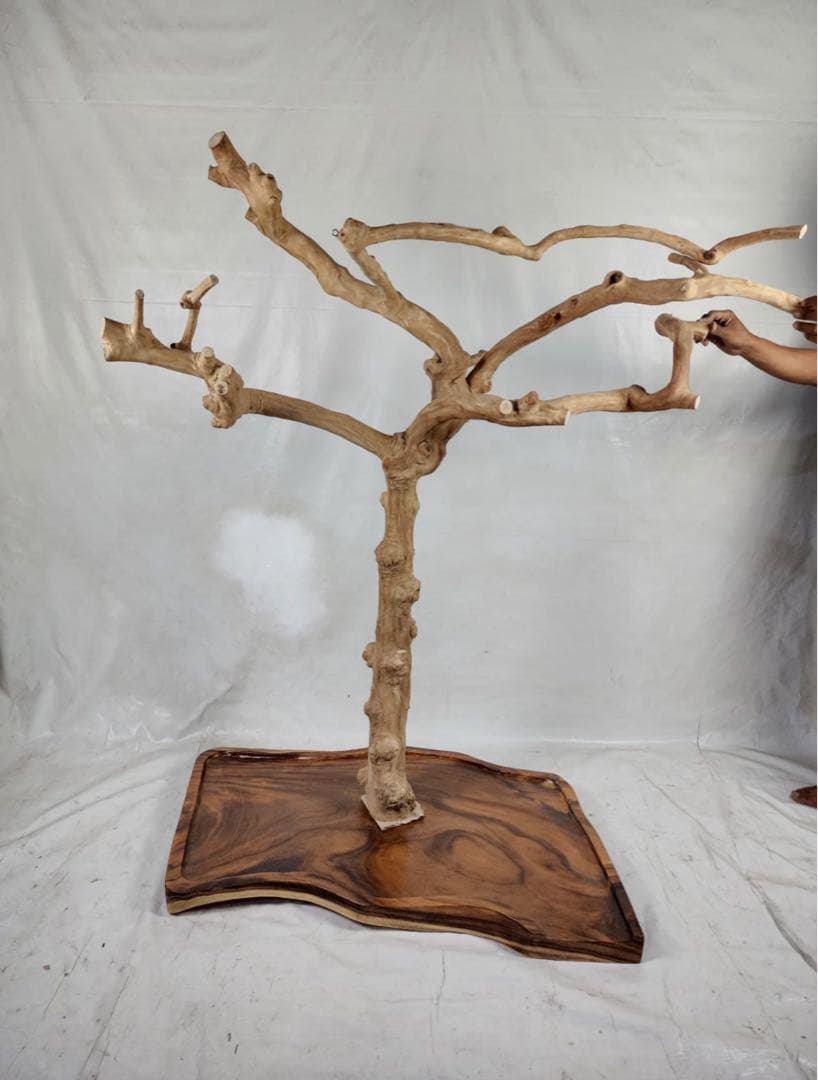 バードスタンド