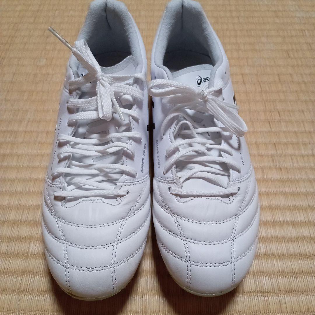 asics　DS LIGHT X-FLY 5 25cm2E