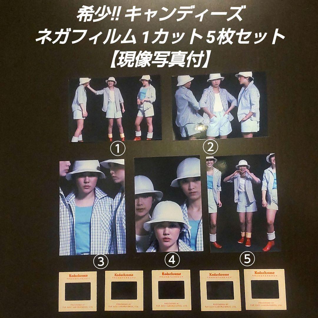 希少！キャンディーズ ネガフィルム