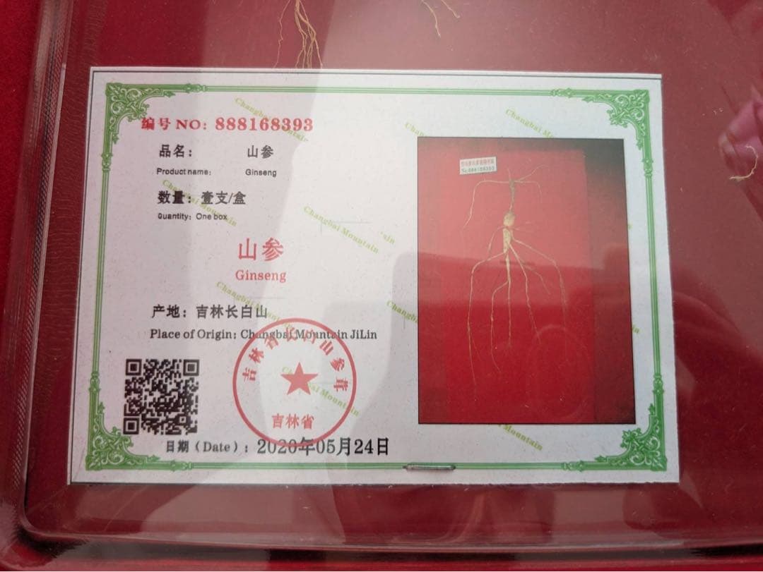 年末セール　 高麗人参　認定品　激レア