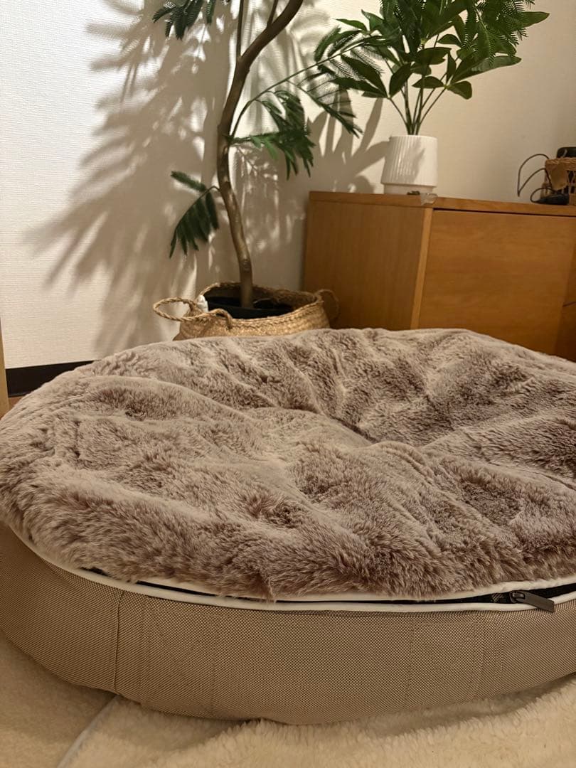 アンビエント　ペットラウンジ　Mサイズ（2025年夏購入）