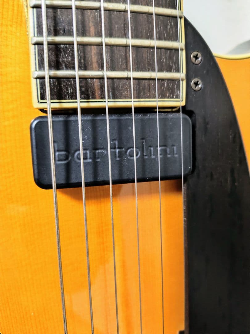 こーとく Peerless Martin Taylor Maestro