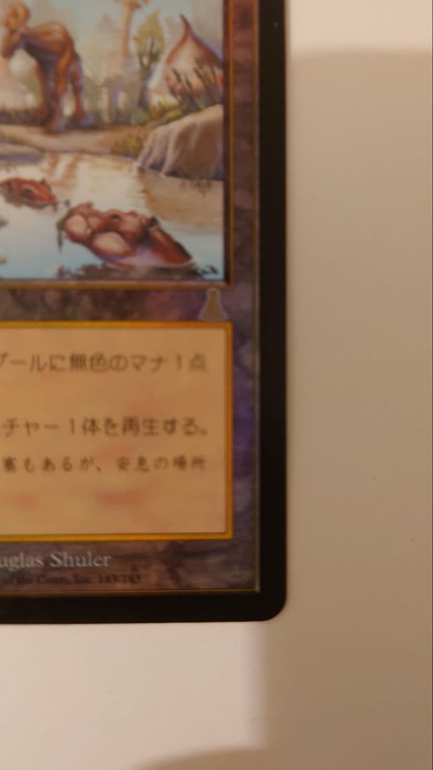 [値下げ]ヤヴィマヤのうろ穴 foil マジック：ザ・ギャザリング