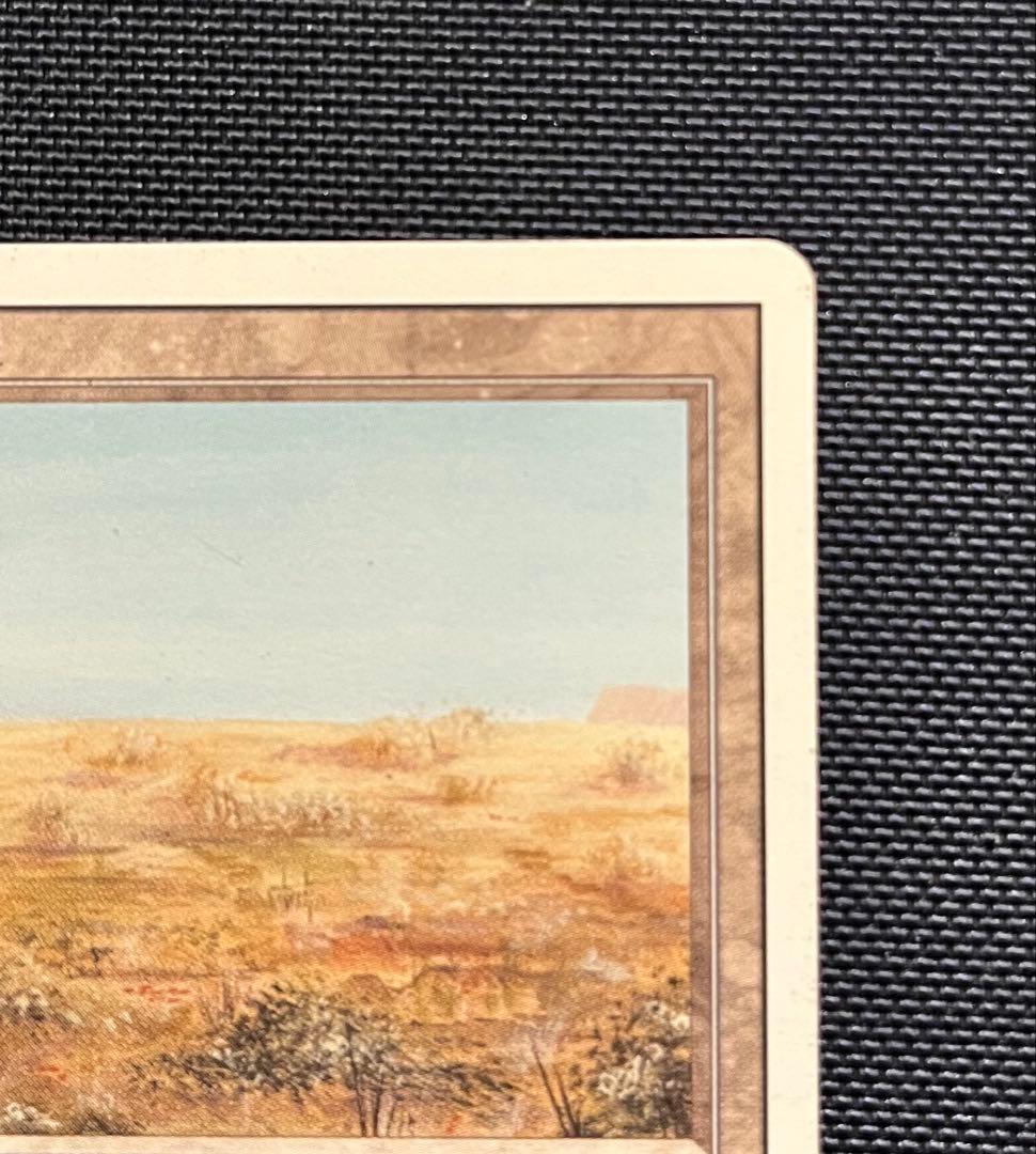 MTG 英語版Scrubland スクラブランド デュアルランド