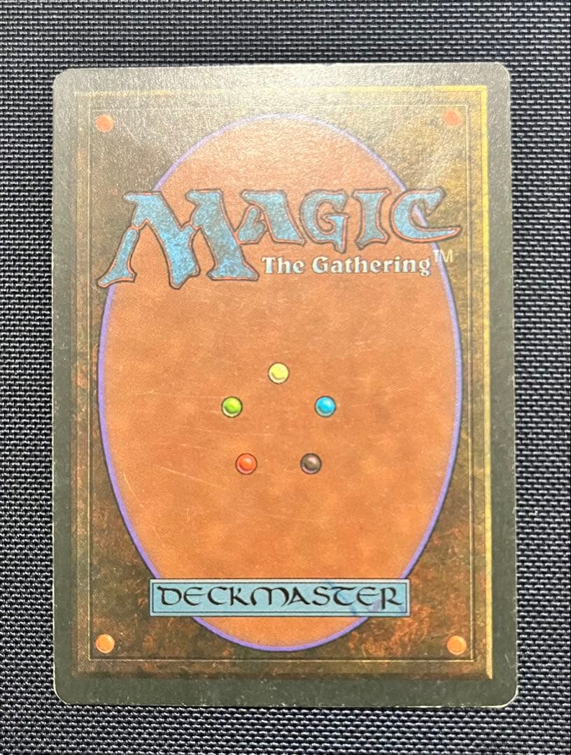 MTG 英語版Scrubland スクラブランド デュアルランド