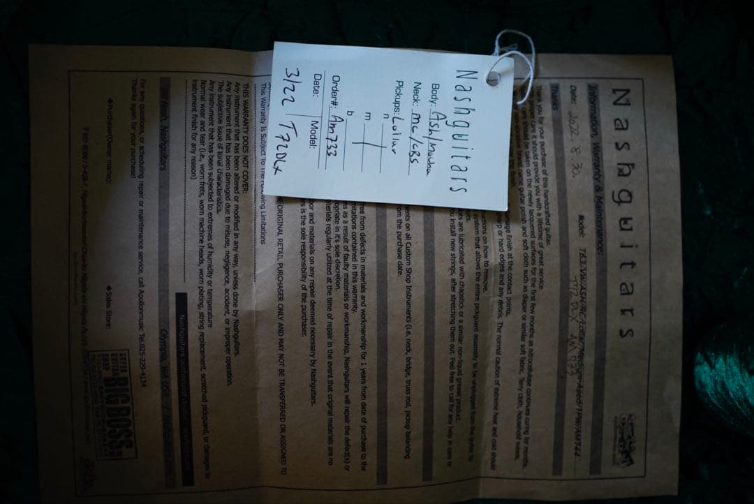 ギター Nash Guitars T72DLX