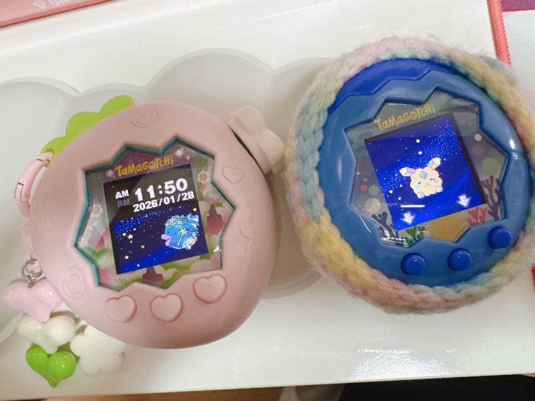 m*様 たまごっちパラダイス ブルーウォーター ジェイドフォレスト