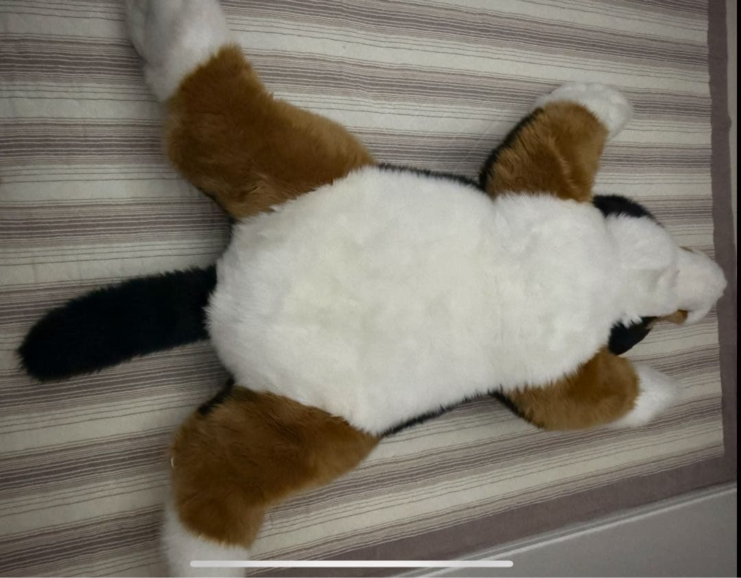 【希少】バーニーズマウンテンドッグ　乗れちゃう！特大わんちゃんぬいぐるみ【レア】