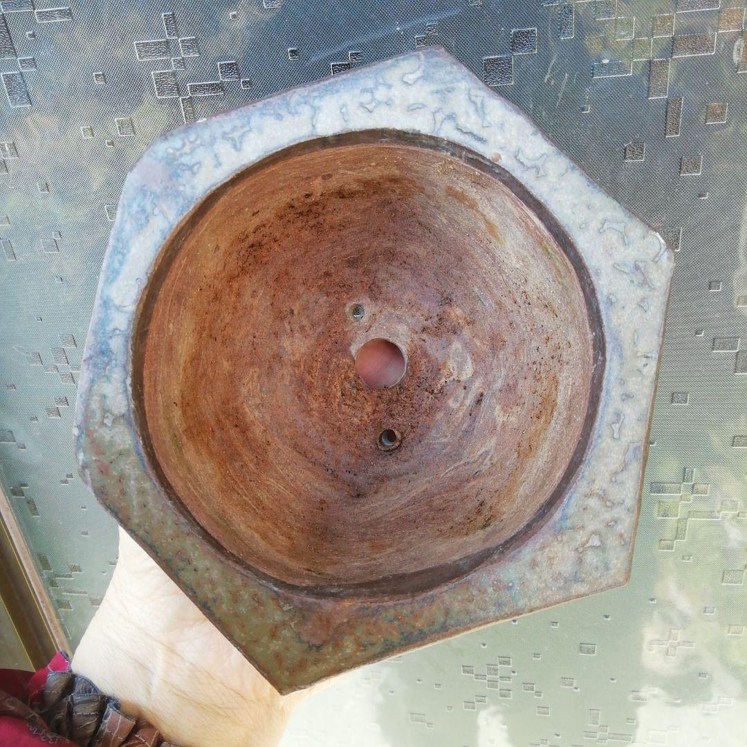 ミニ盆栽鉢、盆栽鉢、盆栽小鉢、鉢、植木鉢、山野草鉢、盆栽