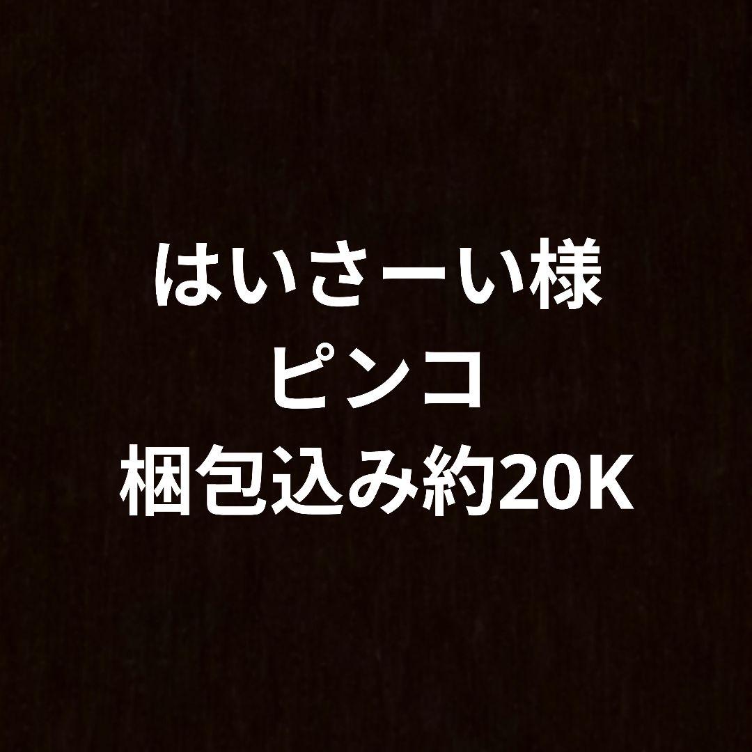 はいさーい様 ピンコ20 29着