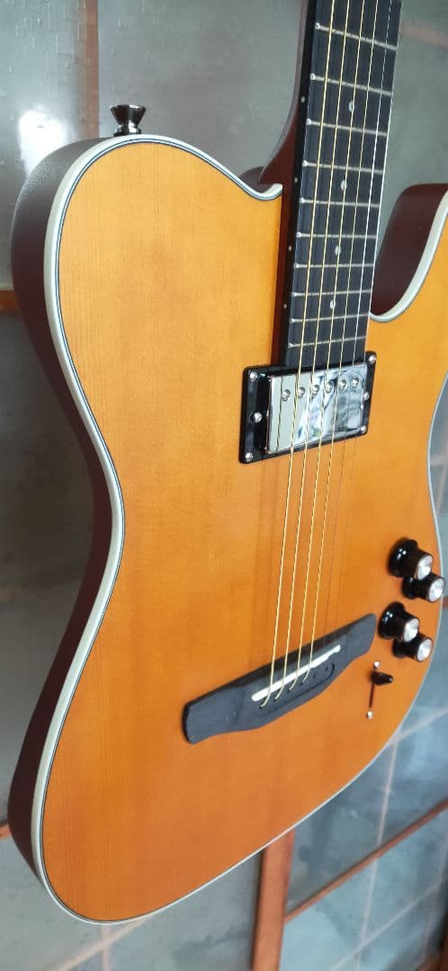 エレキギター　テレキャスター　サイレントギター