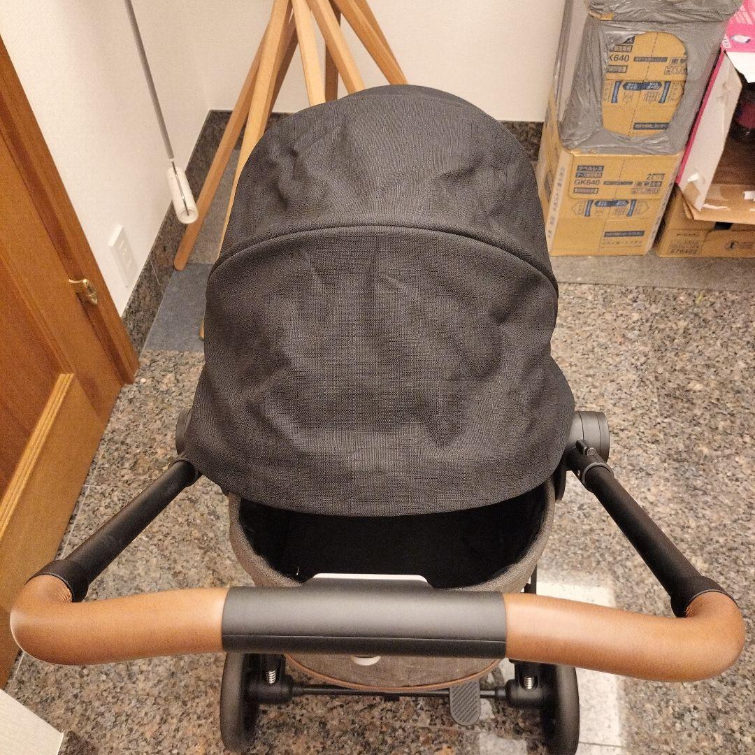 cisco　Compet ルルテイル ブラックグレー No.19662