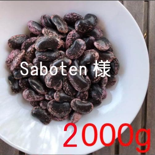Saboten　花豆2000g