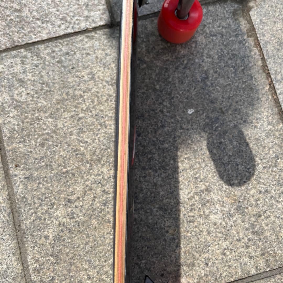 Carver×SantaCruzカーバーサーフスケート9.75㌅定価43800