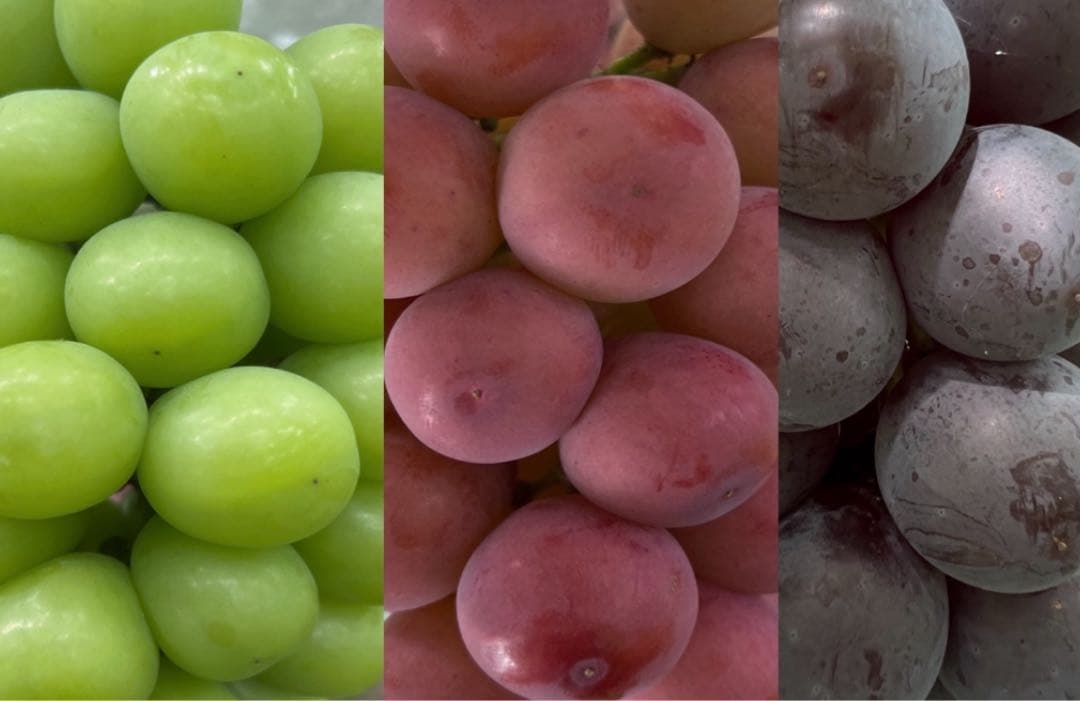 ともちんさん専用