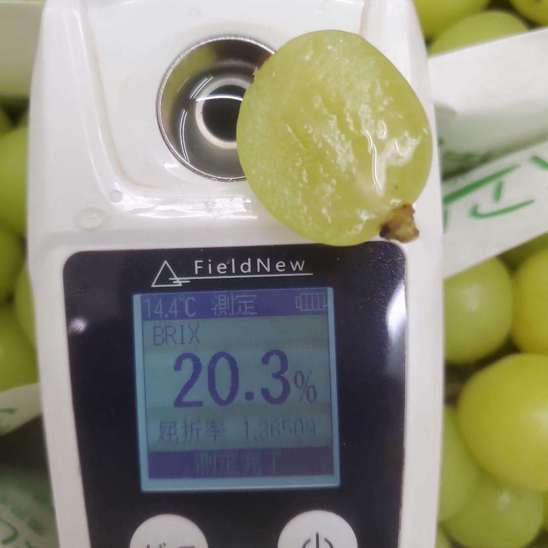 7️⃣ 山梨県産 シャインマスカット ９房入り 箱込み5.5キロ