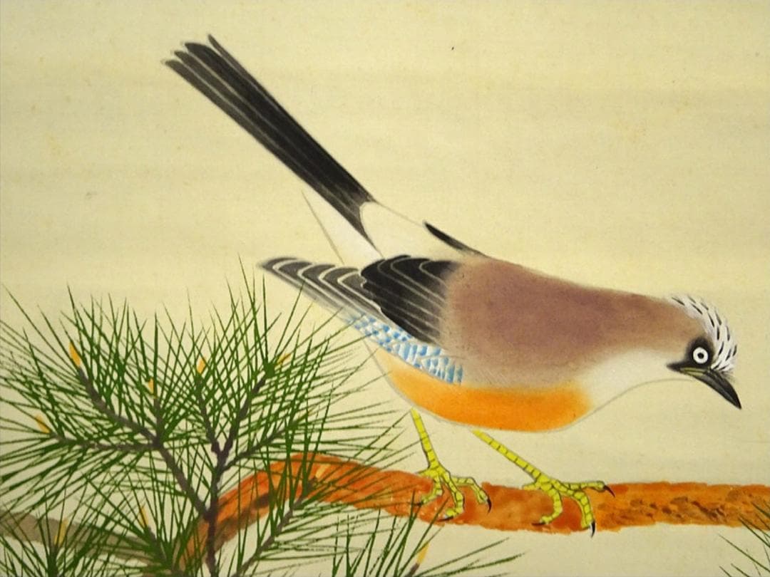 掛軸 長三郎『松に小禽図』絹本 肉筆 無地箱付 掛軸 a020715