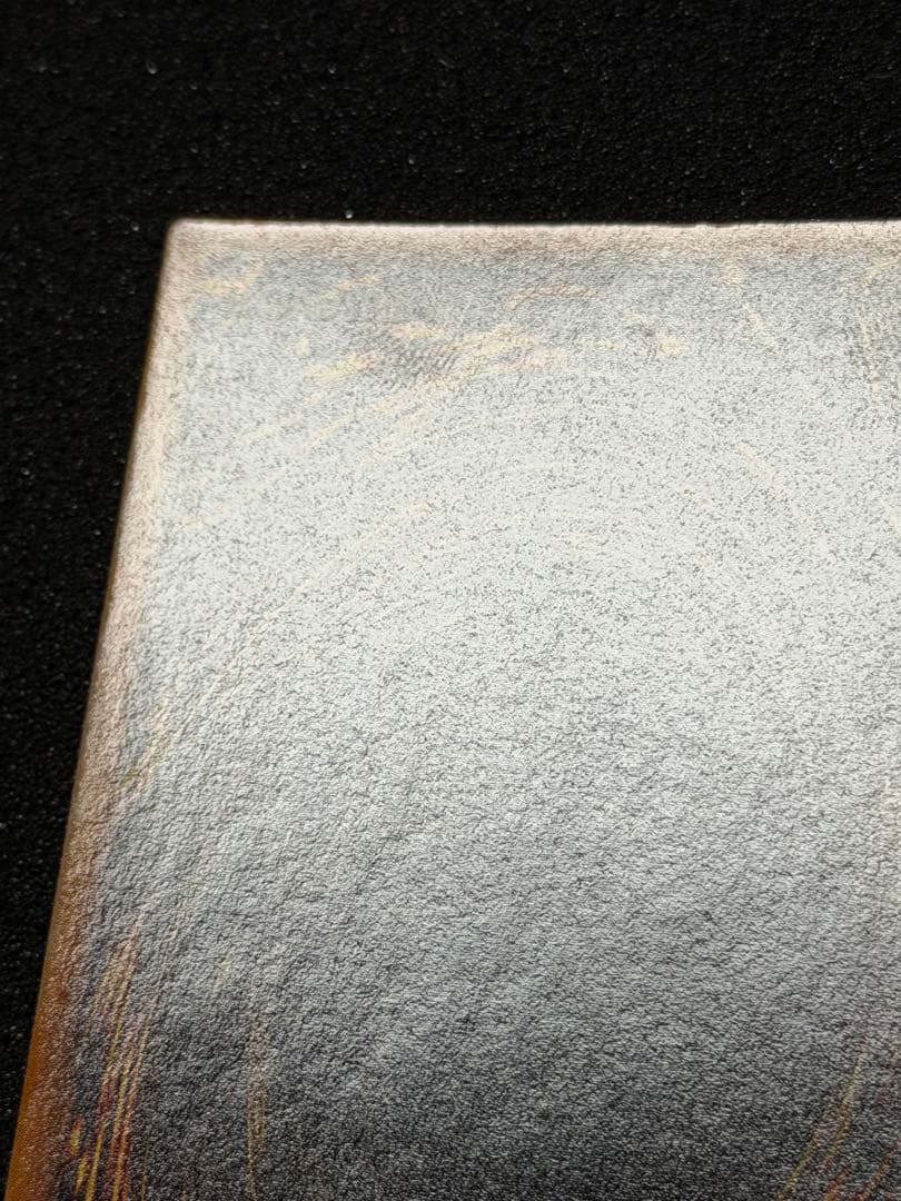 ハーピィの羽根帚 ウルトラレア