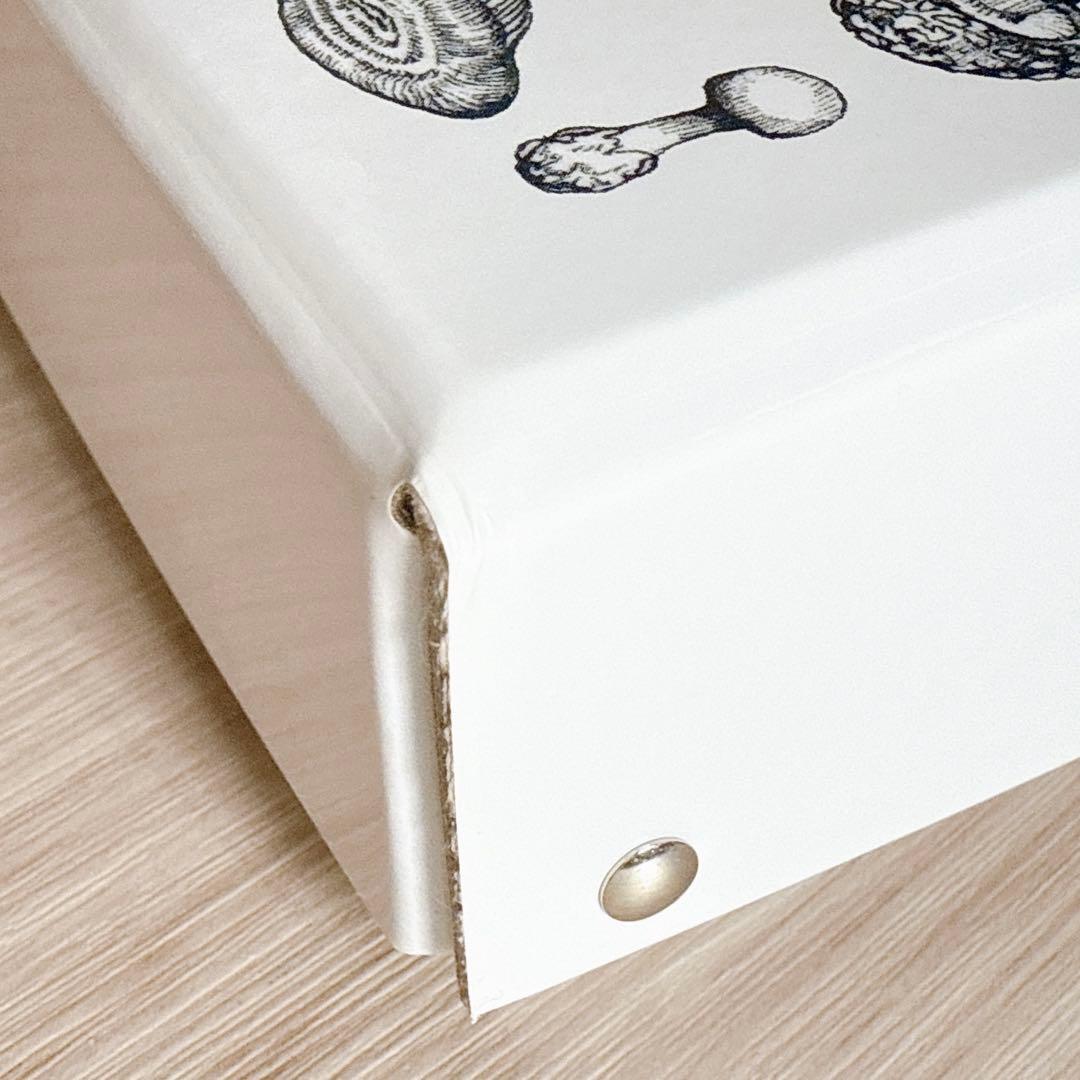 ヒグチユウコ ホルベイン おどうぐばこ 2色セット 赤 白 ボリス雑貨店