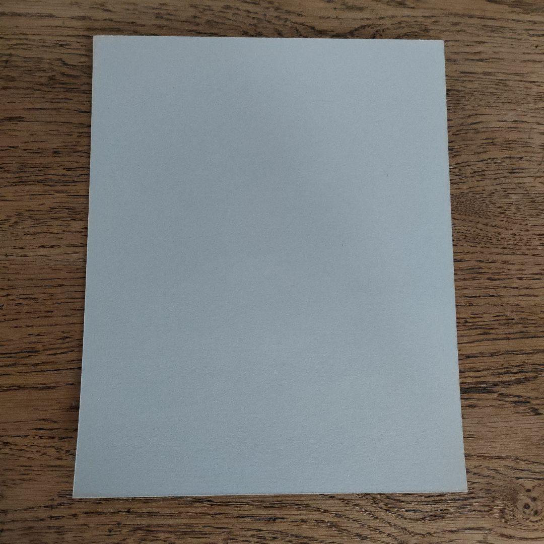 販売終了品 birdswords 初期 バーズワーズ シルクスクリーン シリアル