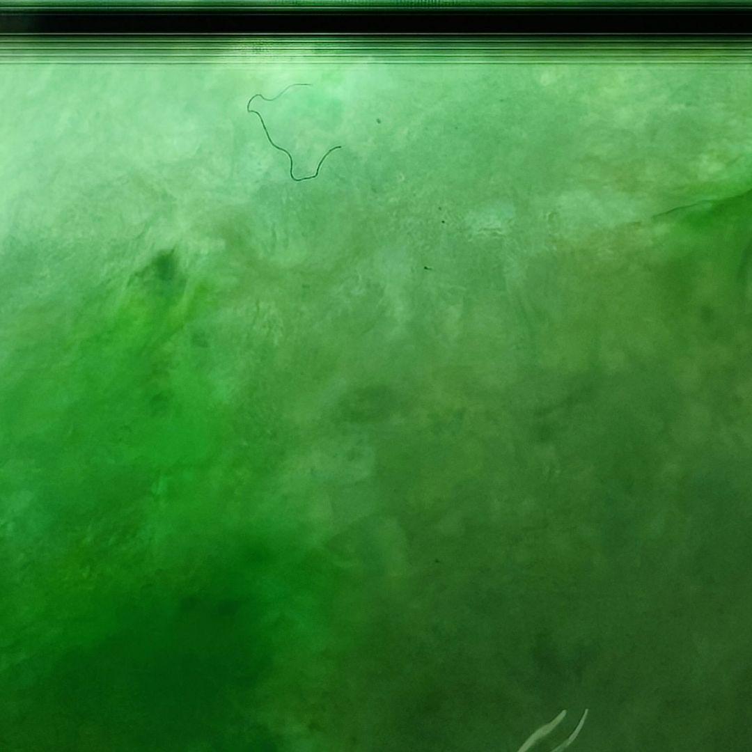 #【本翡翠】天然ジェダイト #鼻煙壺 #氷糯種 陽緑 透過良 結晶有 龍耳彫刻