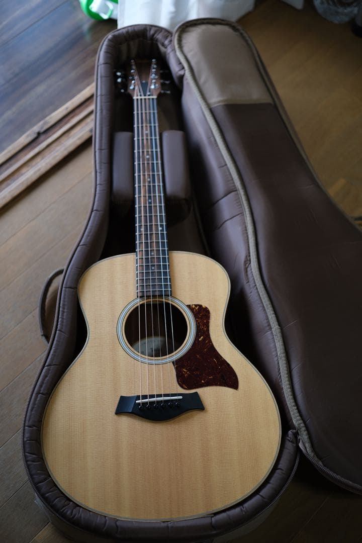 Taylor LTD GS Mini 限定モデル