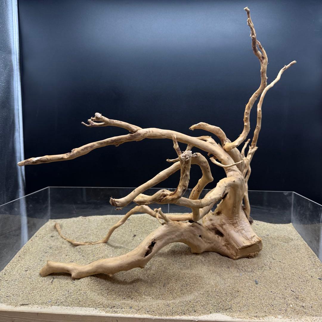 MDW-6991 特大ブランチウッド　流木　枝流木　アクアリウム