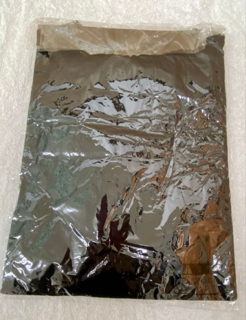 セイ!ヤング・オールナイトニッポンTシャツ　Lサイズとピック4枚のセット　新品