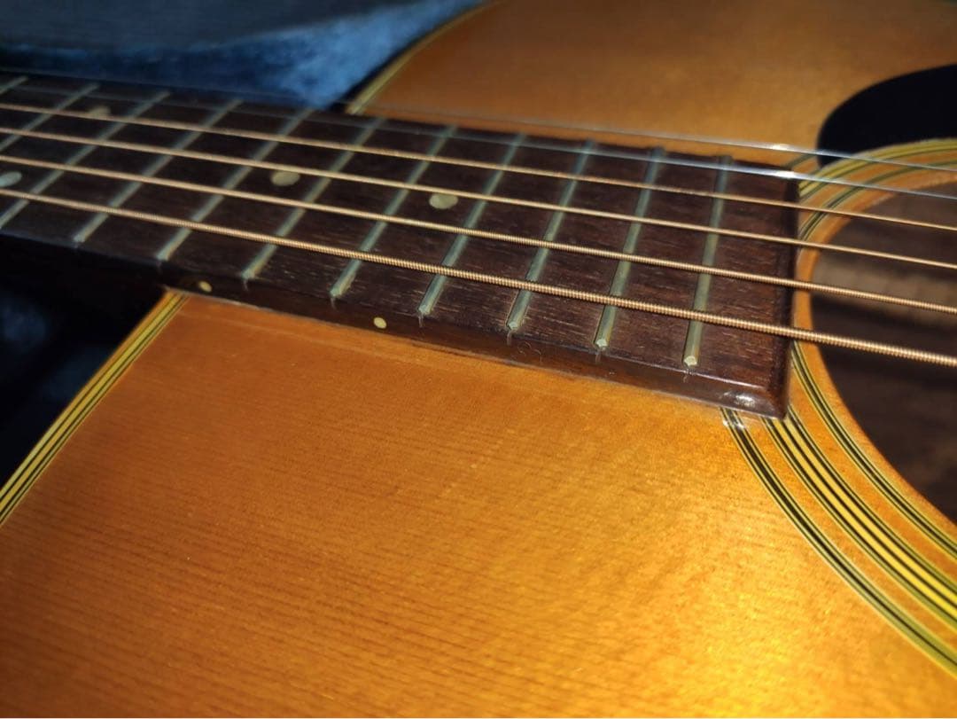 ギター Takamine Elite TW-40