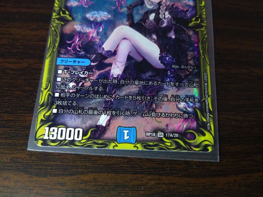 シャコガイル　a 2枚