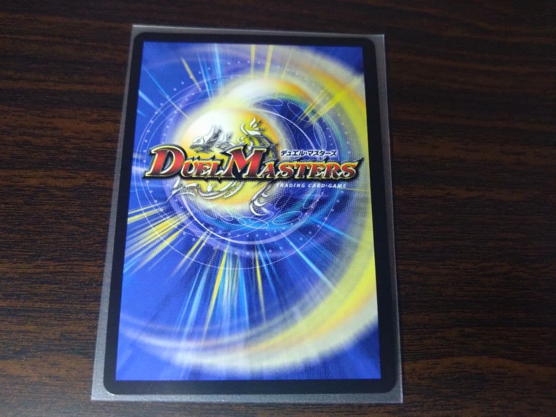 シャコガイル　a 2枚