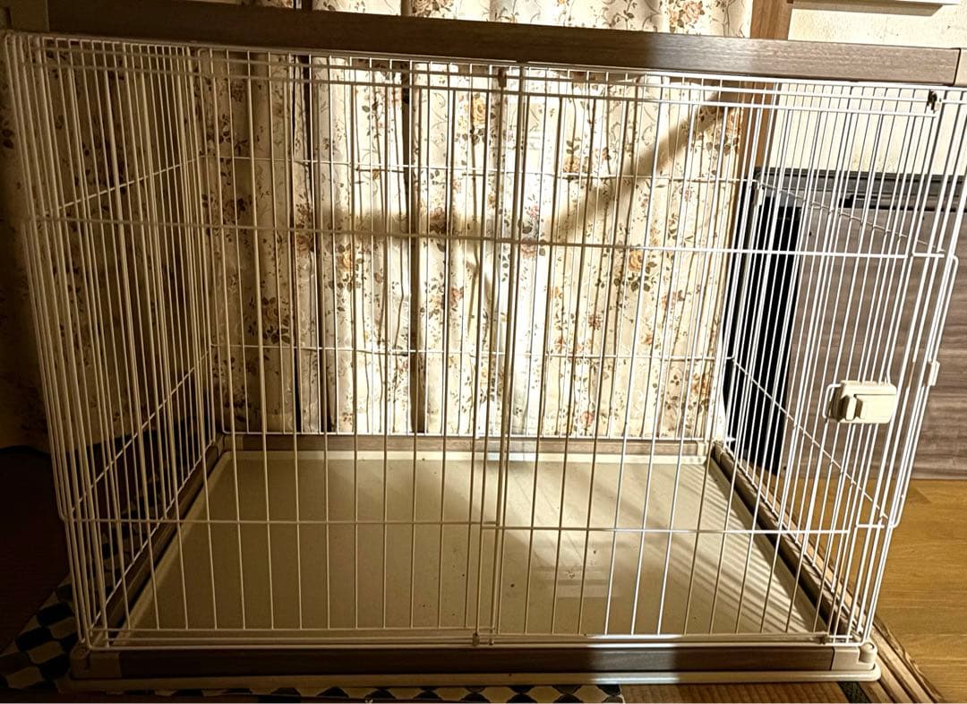 引き取り限定！ウッディサークル ペットサークル 犬小屋 ゲージ ハイタイプ