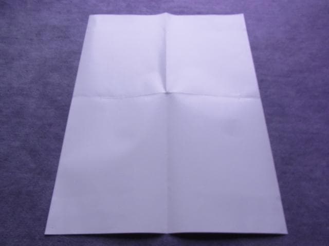 非売品　ポスター　MTG　世界選手権開催記念　スペシャル土地カード　当時物