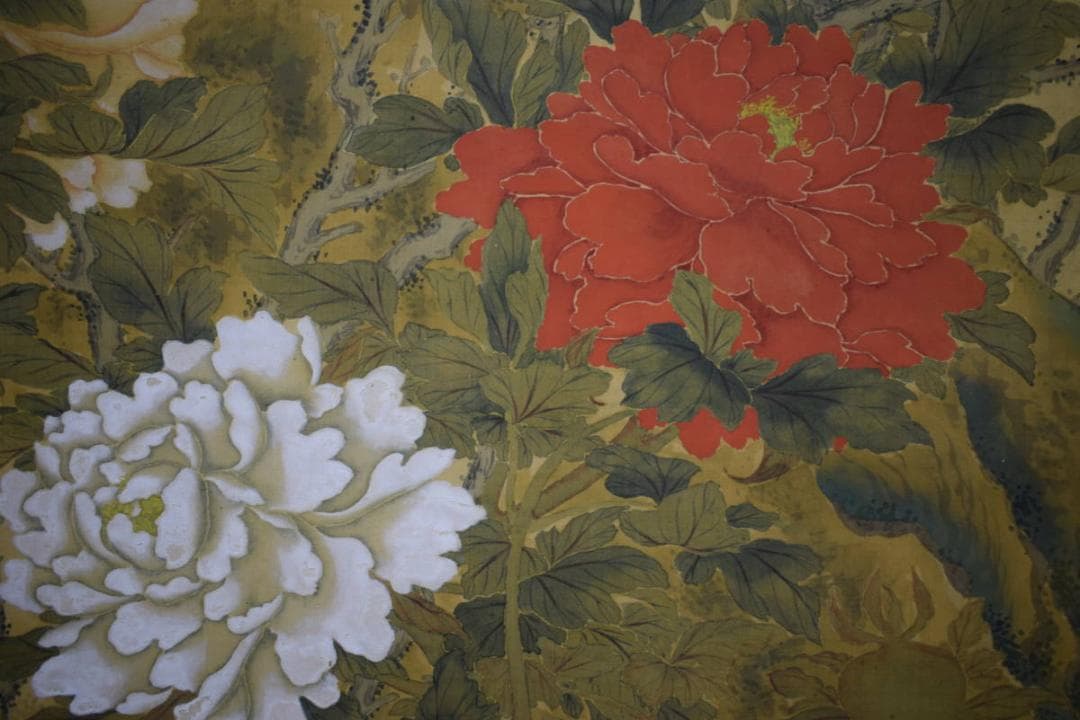 真作/翠雨山人（画）/孔雀に牡丹図/杉箱二重箱付/布袋屋掛軸HG-947