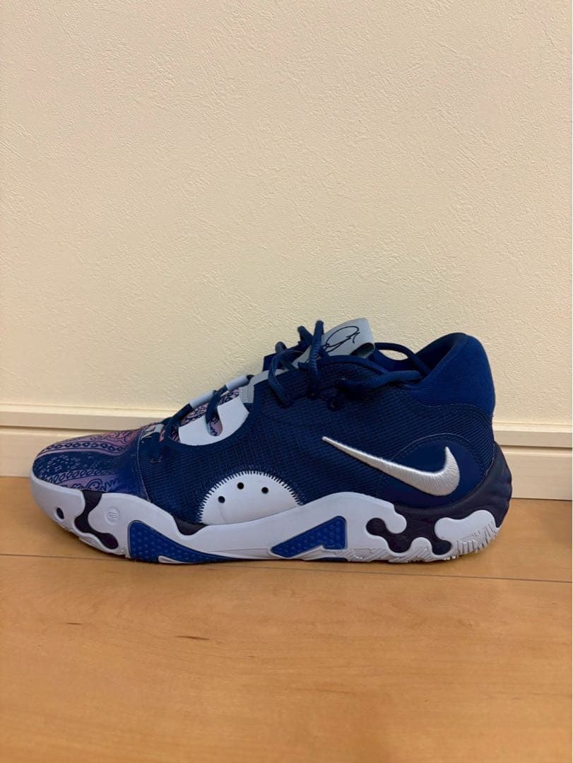 【お値下げ】ナイキ　PG6 ペイズリー　29cm